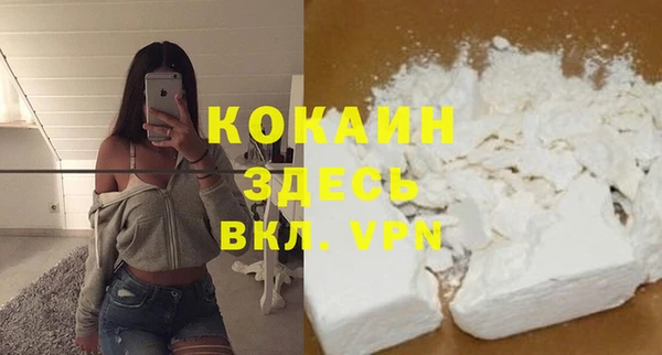 молекула духа Балахна