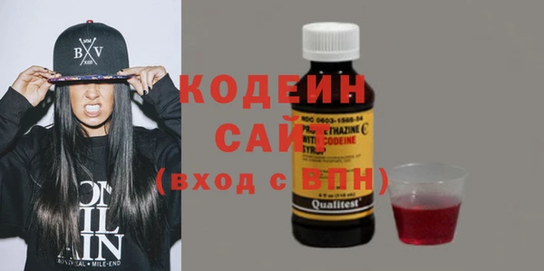индика Семикаракорск