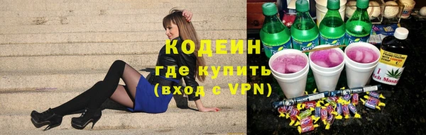 индика Семикаракорск