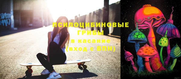 молекула духа Балахна